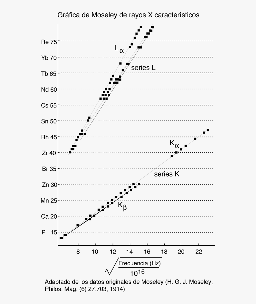 Moseley X Ray, HD Png Download