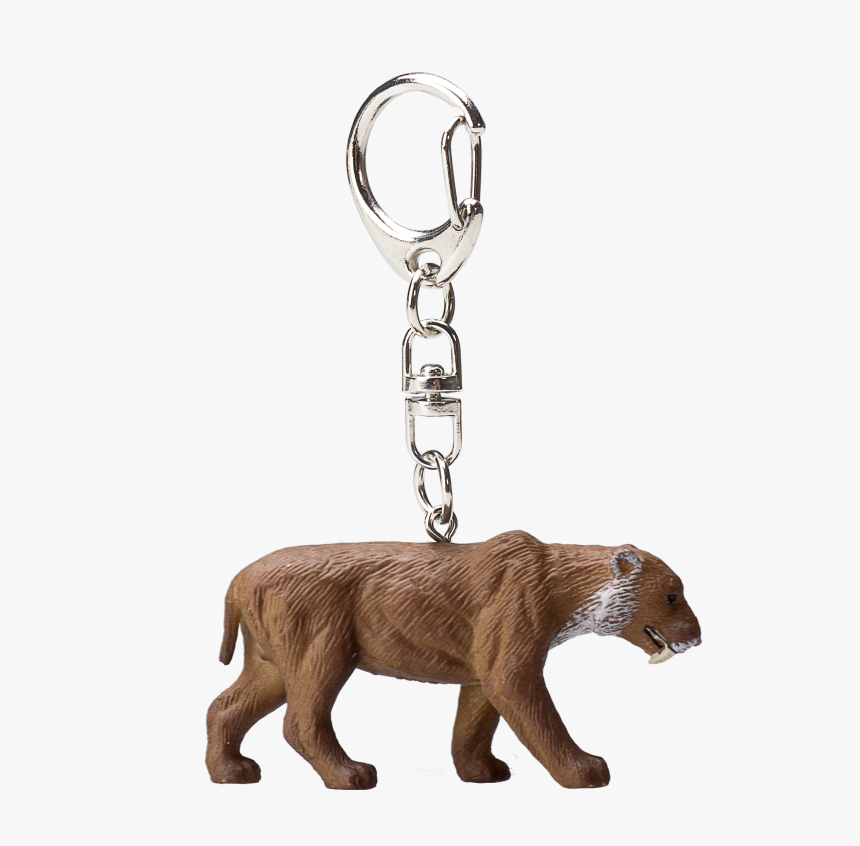 Grizzly Bear, HD Png Download