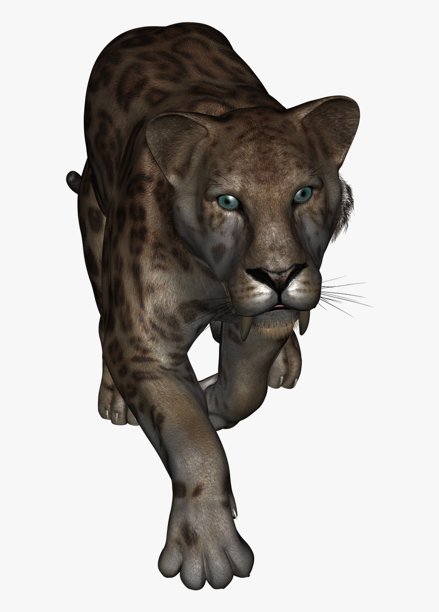 Lion Hd Png, Transparent Png