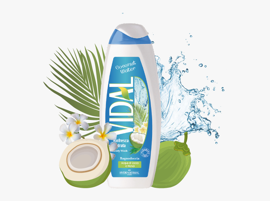 Coconut Water Png, Transparent Png