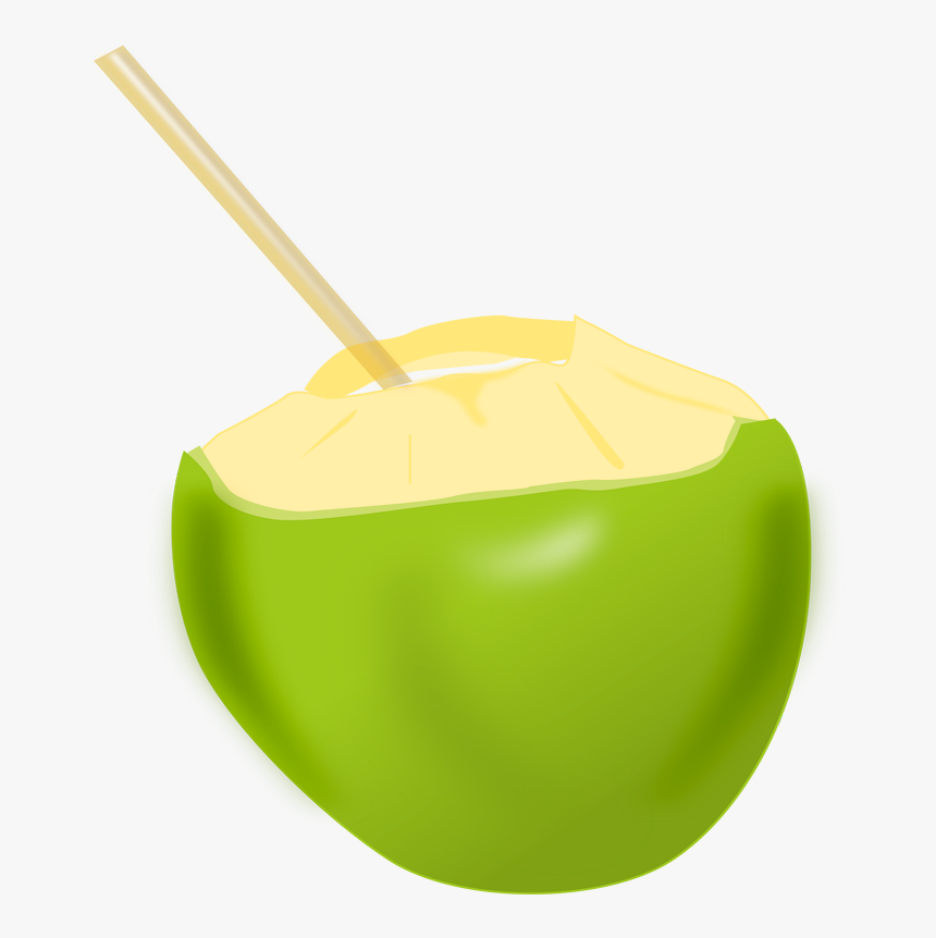 Transparent Coconut Drink Clipart, HD Png Download