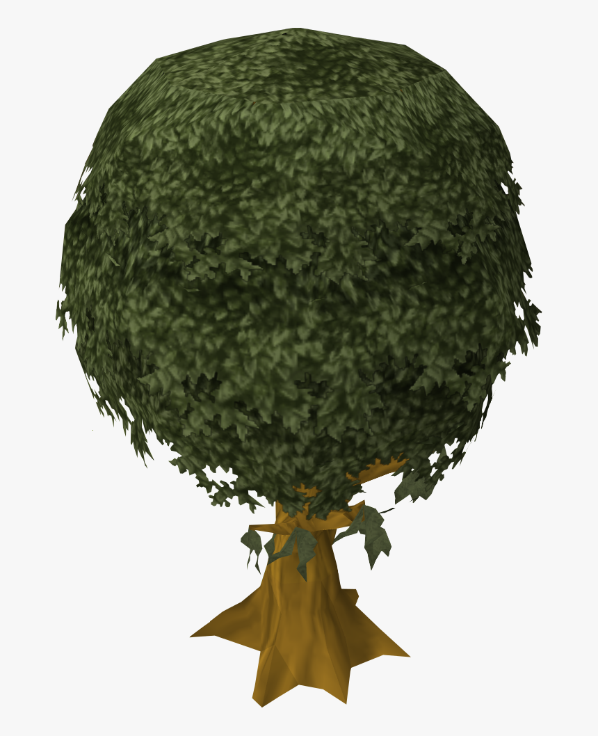 White Walnut, HD Png Download