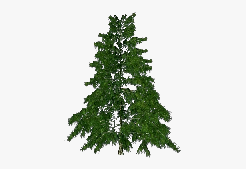 3d Trees - Himalayan Cedar - Acca Software - Albero Da Natale Offerta 150 Cm, HD Png Download