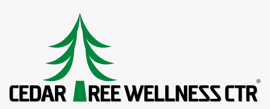 Cedar Tree Graphic, HD Png Download