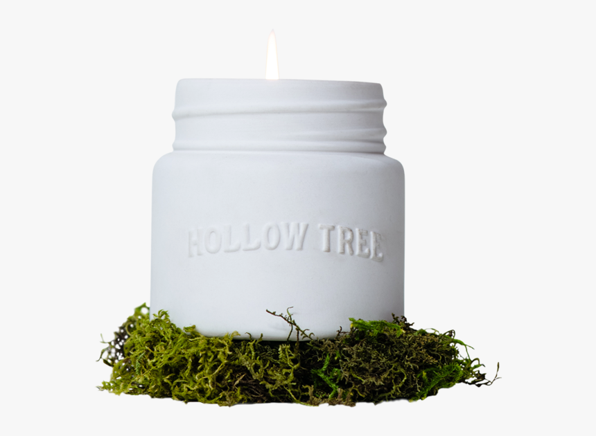 Library Of Trees - Tamaryokucha, HD Png Download