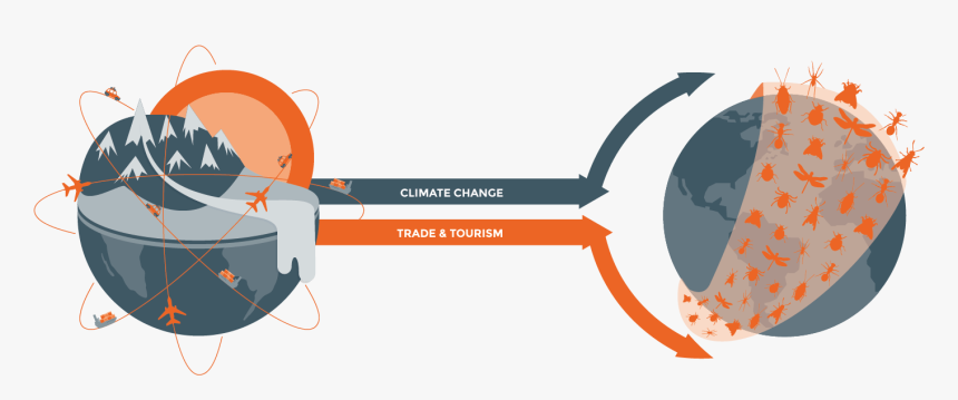 Graphic Design, HD Png Download