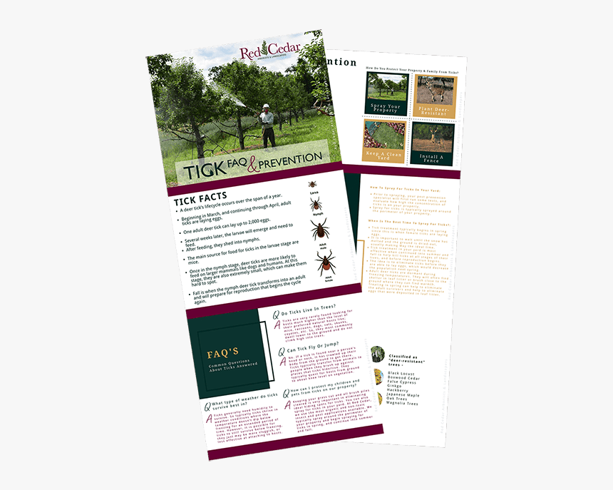 Tick Treatment For Your Yard - Brochure, HD Png Download