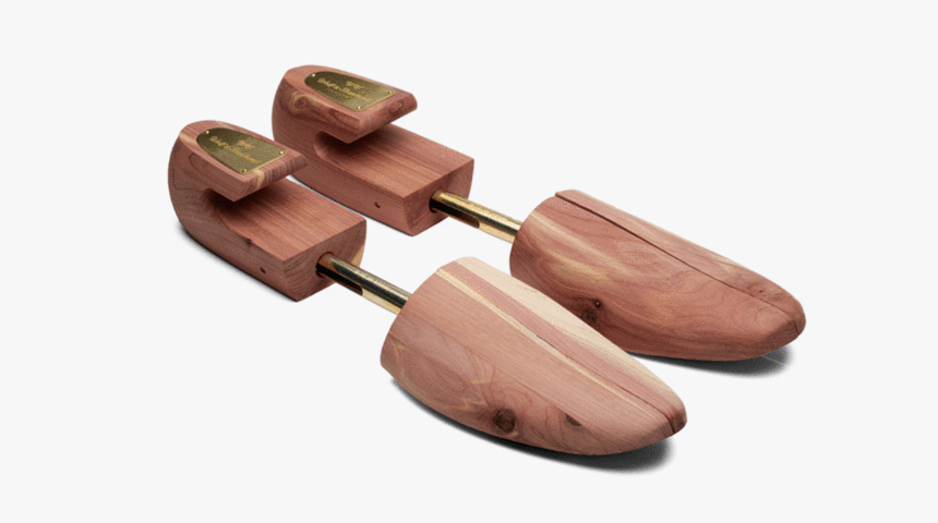 Cedar Shoe Tree 
 Class, HD Png Download