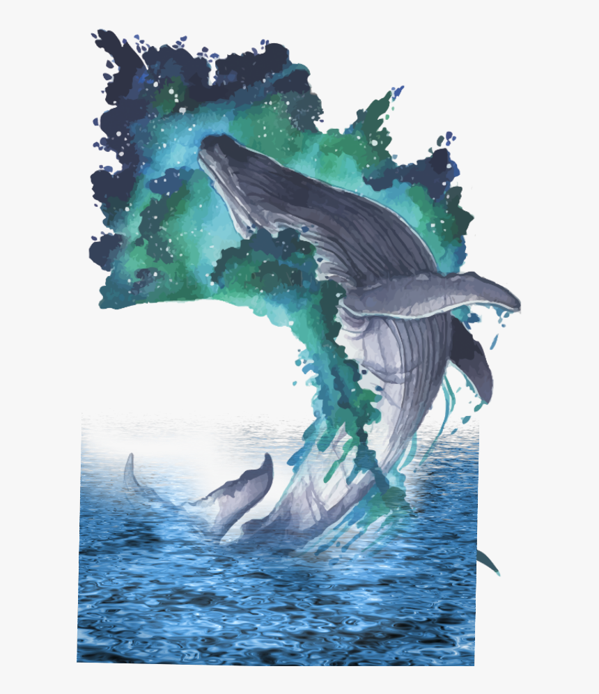 Transparent Kids Splashing Clipart - Whale Art Png, Png Download