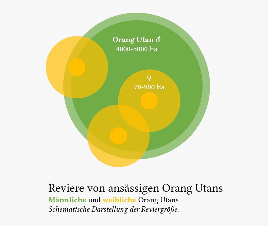 Orang-utan Revier - Circle, HD Png Download