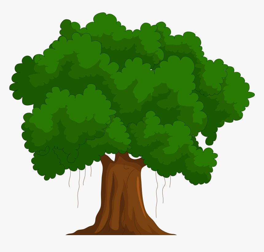 Transparent Cedar Clipart - Green Tree Clipart, HD Png Download