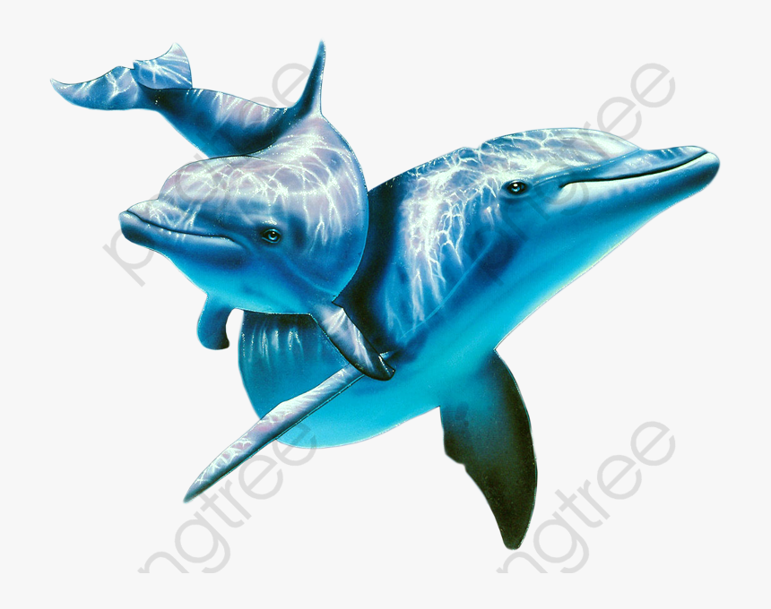 Marine Life Animal Png - Dolphins Under Water Transparent, Png Download