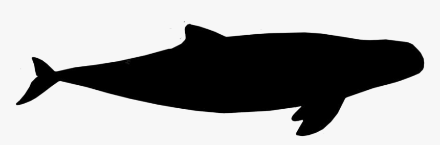 Black Irrawaddy Dolphin Clipart Png, Irrawaddy Dolphin - Whale, Transparent Png