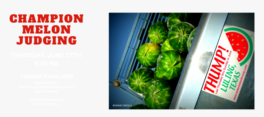 Watermelon, HD Png Download