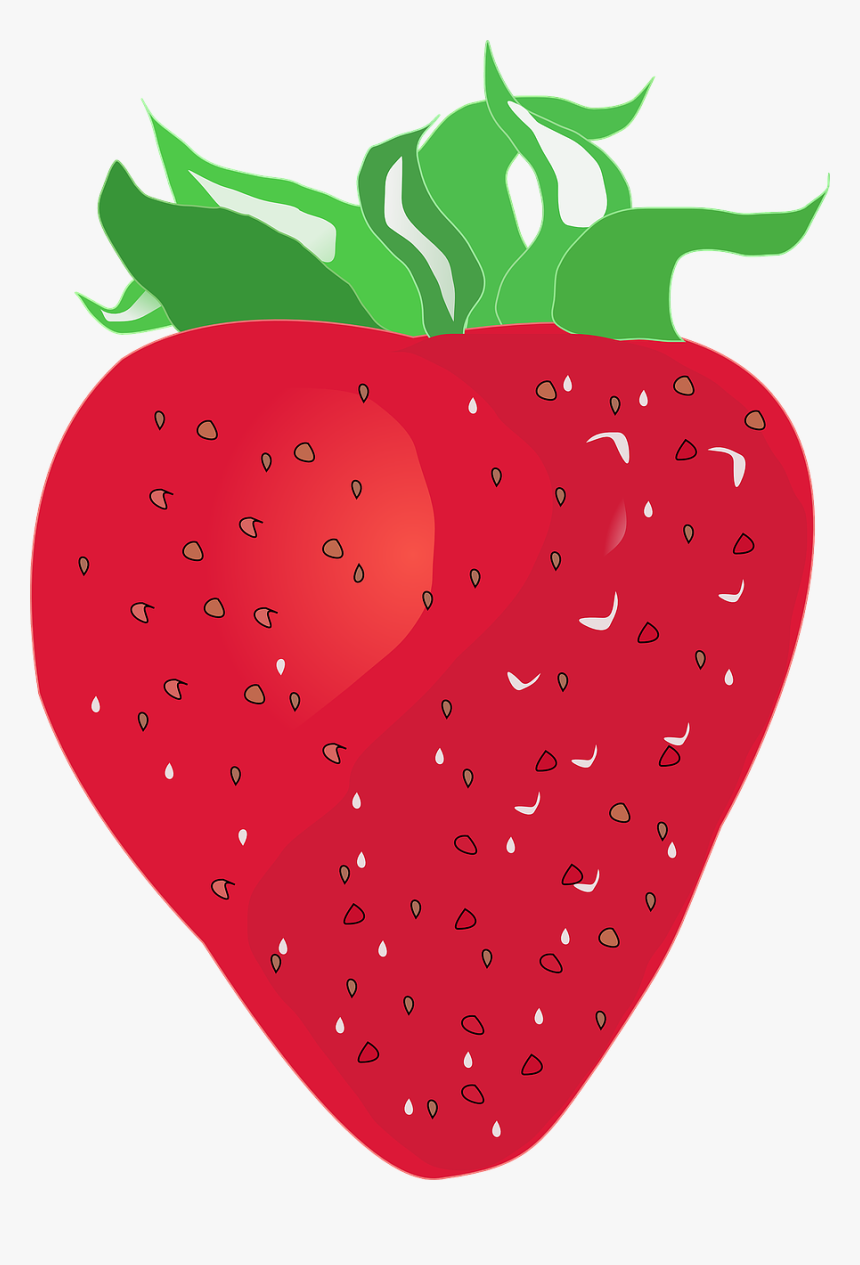 Strawberry Red Fruit Free Photo - สต อ เบ อ รี่ เวก เตอร์, HD Png Download