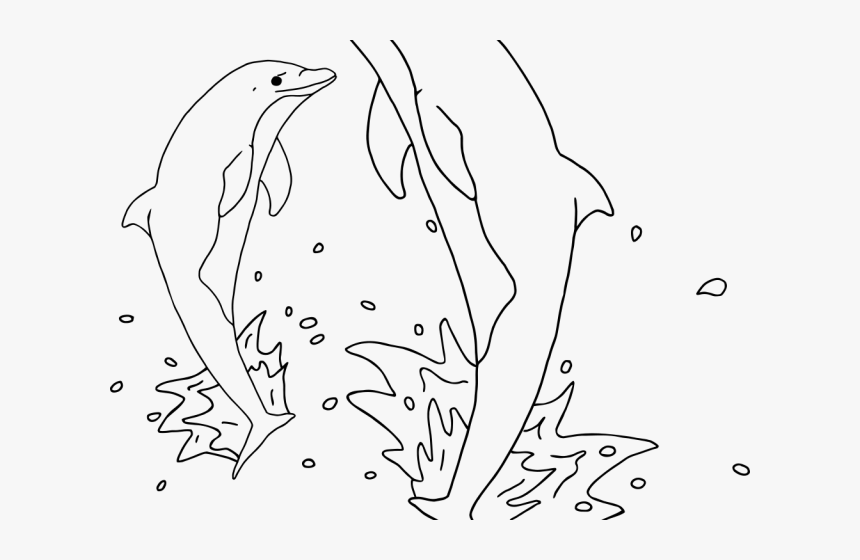 Transparent Dolphin Jumping Png - Dolphin, Png Download