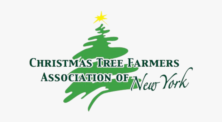 Christmas Tree, HD Png Download