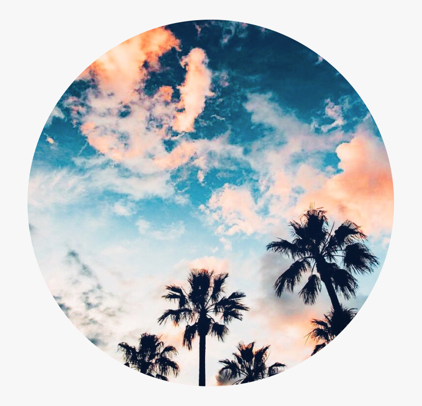 #aesthetic #background #circle #sticker #tropical #trees - Green Tropical Aesthetic Background, HD Png Download