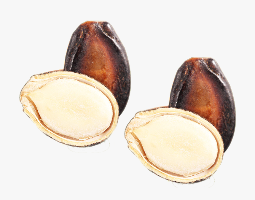 Clip Art Nut Seed Egusi With - Fruit, HD Png Download
