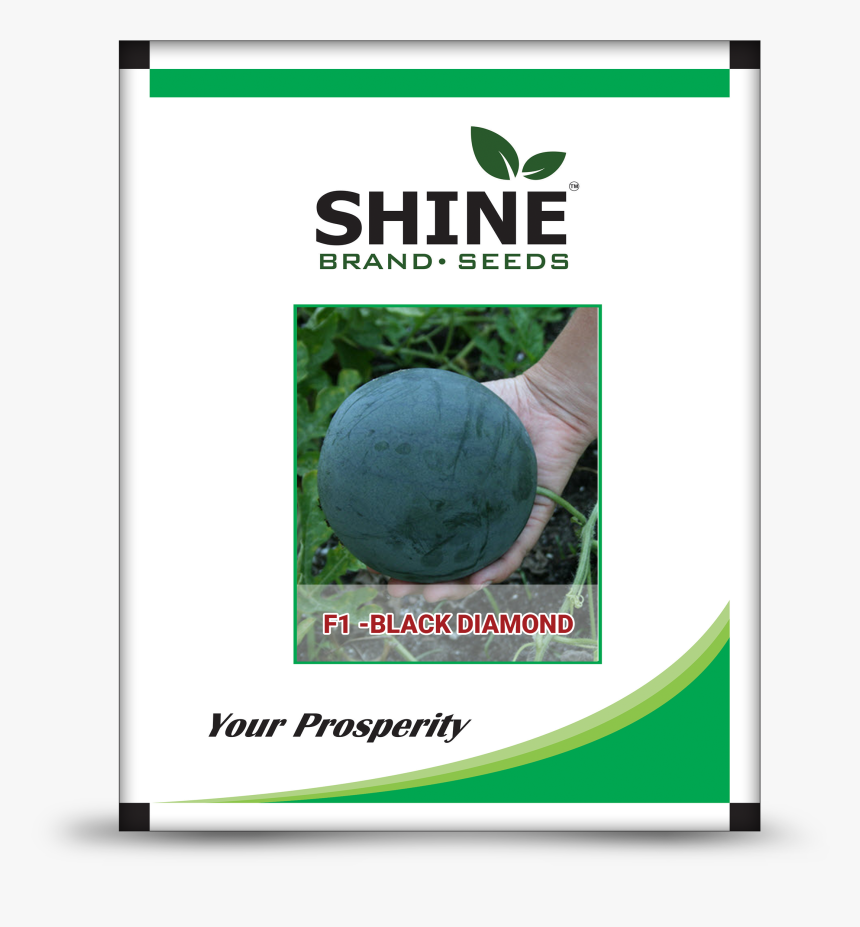 Shlne 820, HD Png Download