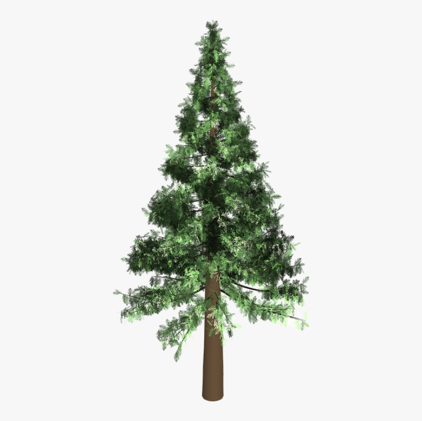 Arbol De Pino Png, Transparent Png
