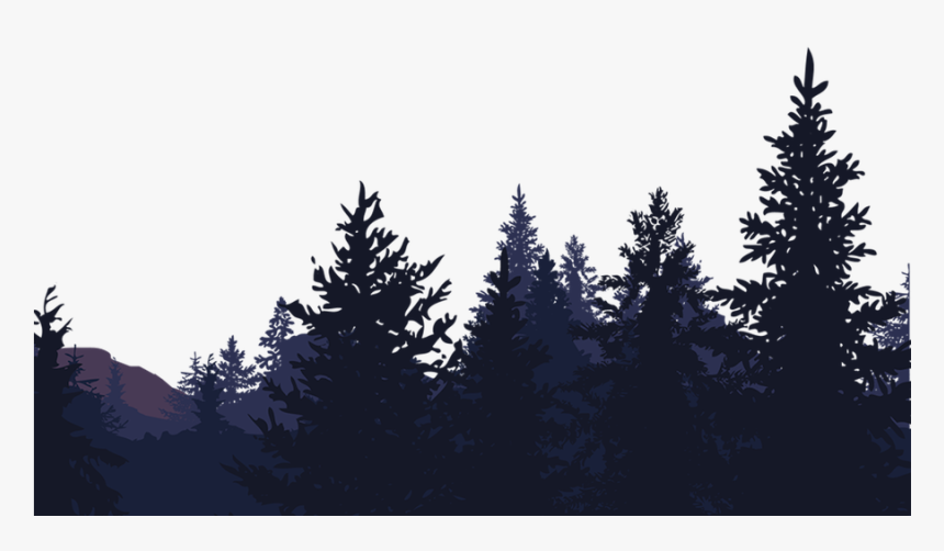 Transparent Group Of Trees Png - Kids Camp, Png Download