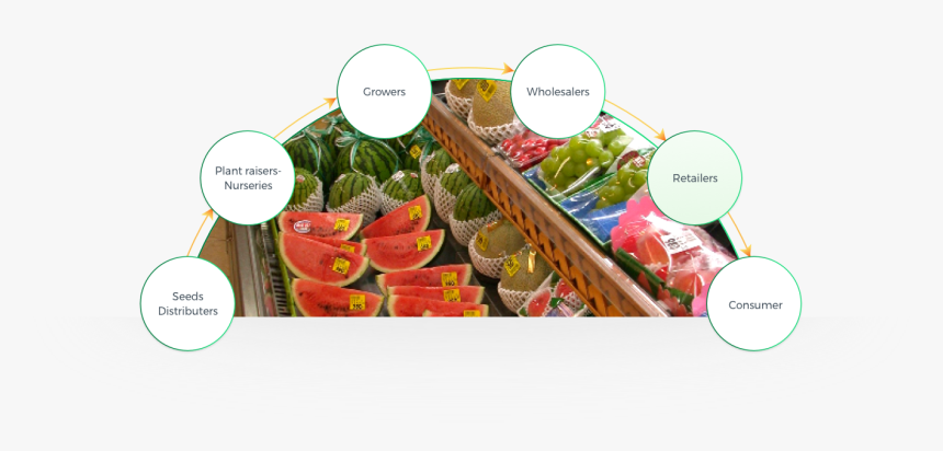 Retailers - Natural Foods, HD Png Download