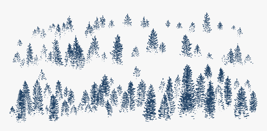 Sketch Forest Fog, HD Png Download