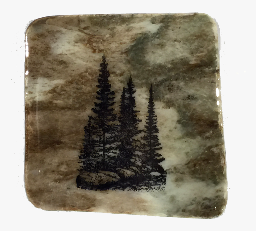 Small Group Of Trees, HD Png Download