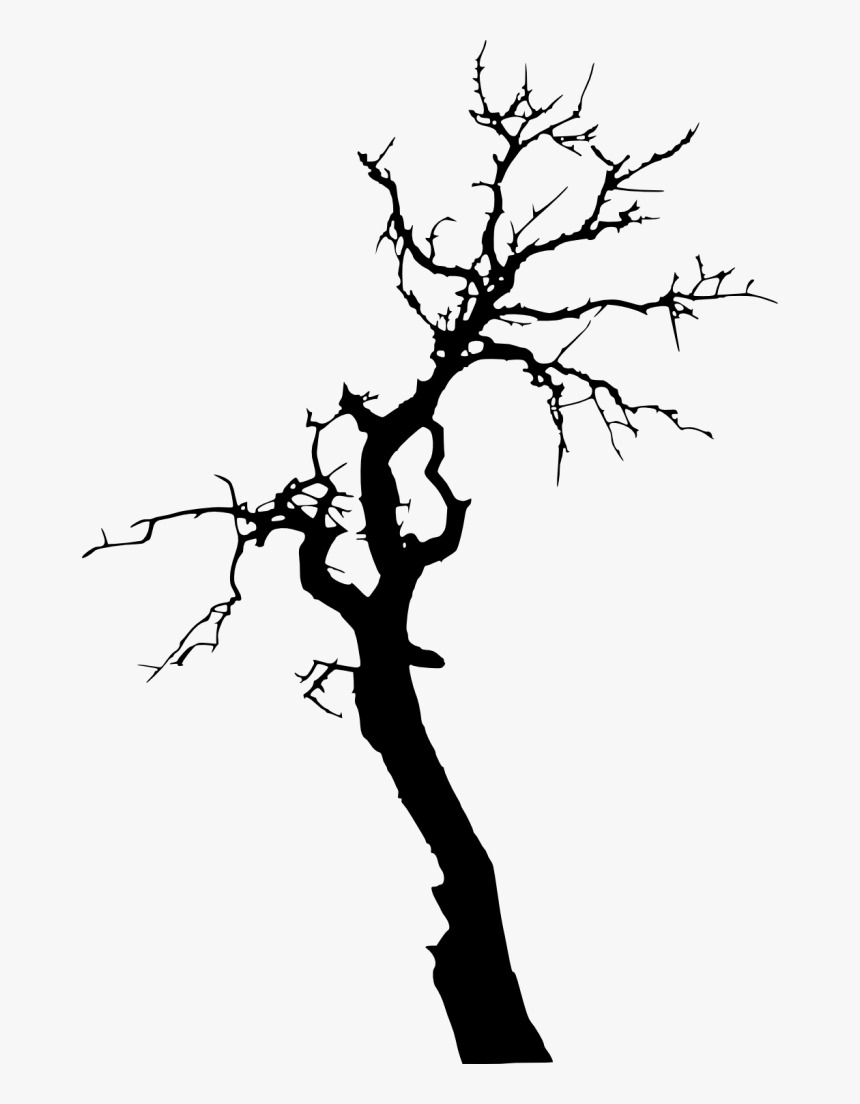 Transparent Background Tree Silhouette Png, Png Download