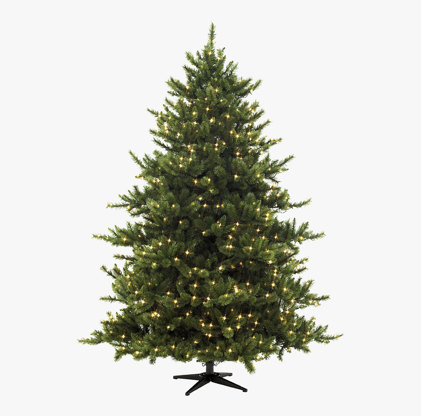 Christmas Pine Tree - Rejoice Bible Verse Christmas, HD Png Download