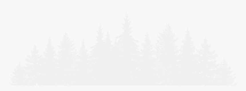 Transparent Transparent Background Snowy Pine Trees, HD Png Download