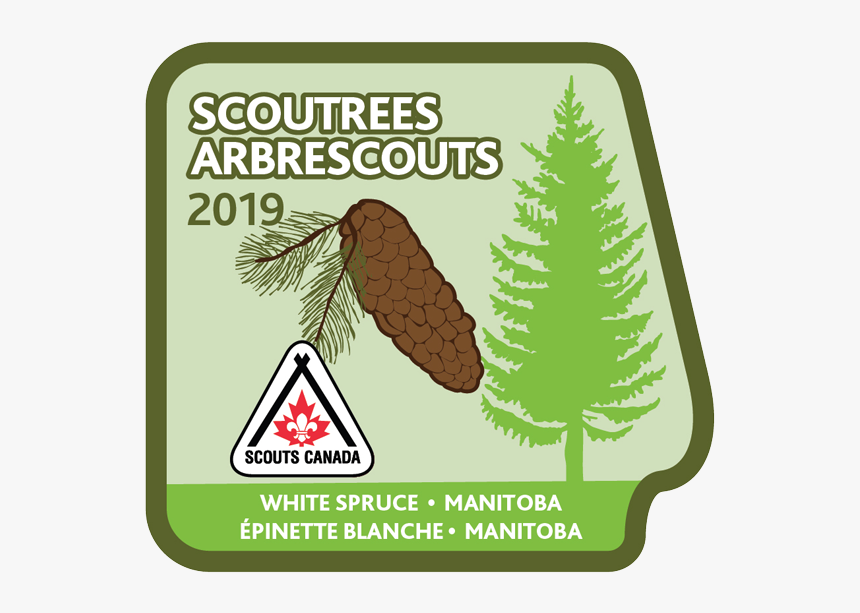 Scouts Canada, HD Png Download