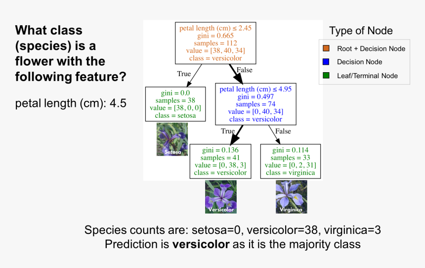 Diagram, HD Png Download