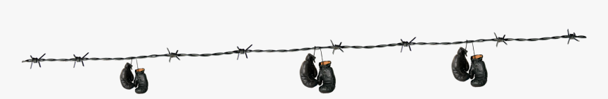 Barbed Wire, HD Png Download