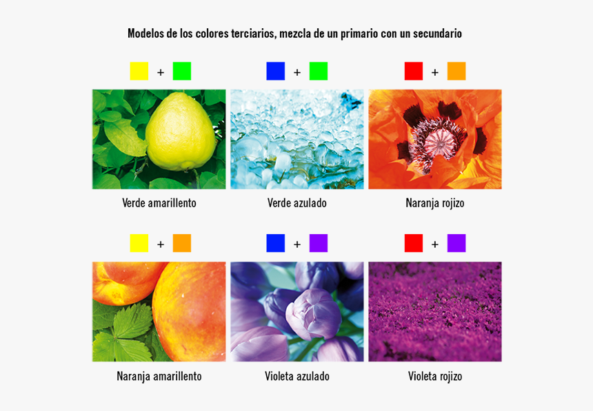 90642 - Objetos De Colores Secundarios, HD Png Download