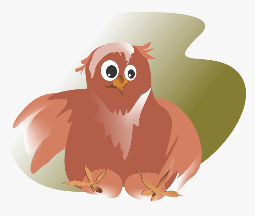 Kite, HD Png Download