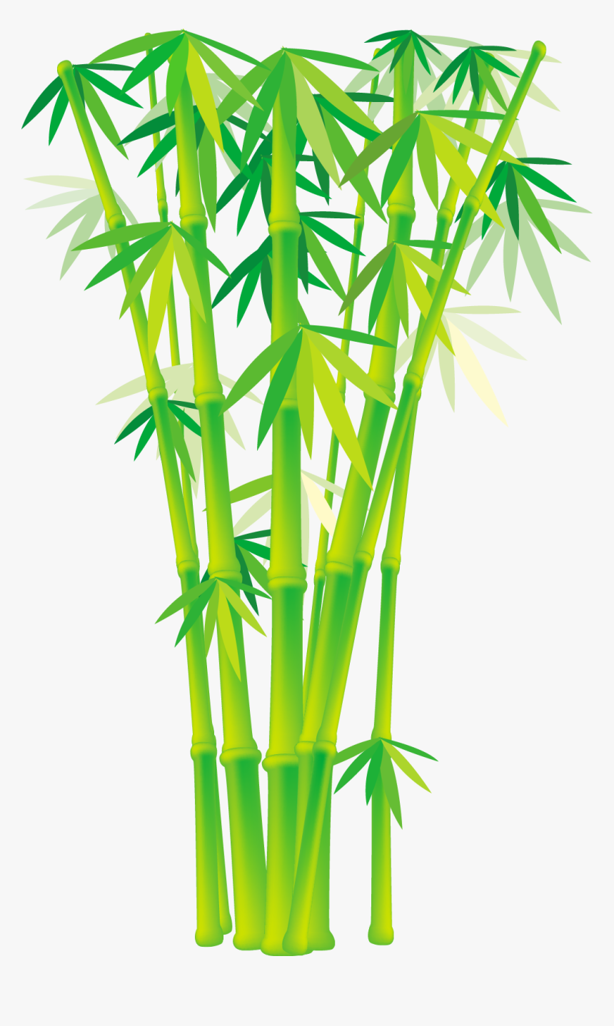 Vector Bamboo Free Download, HD Png Download