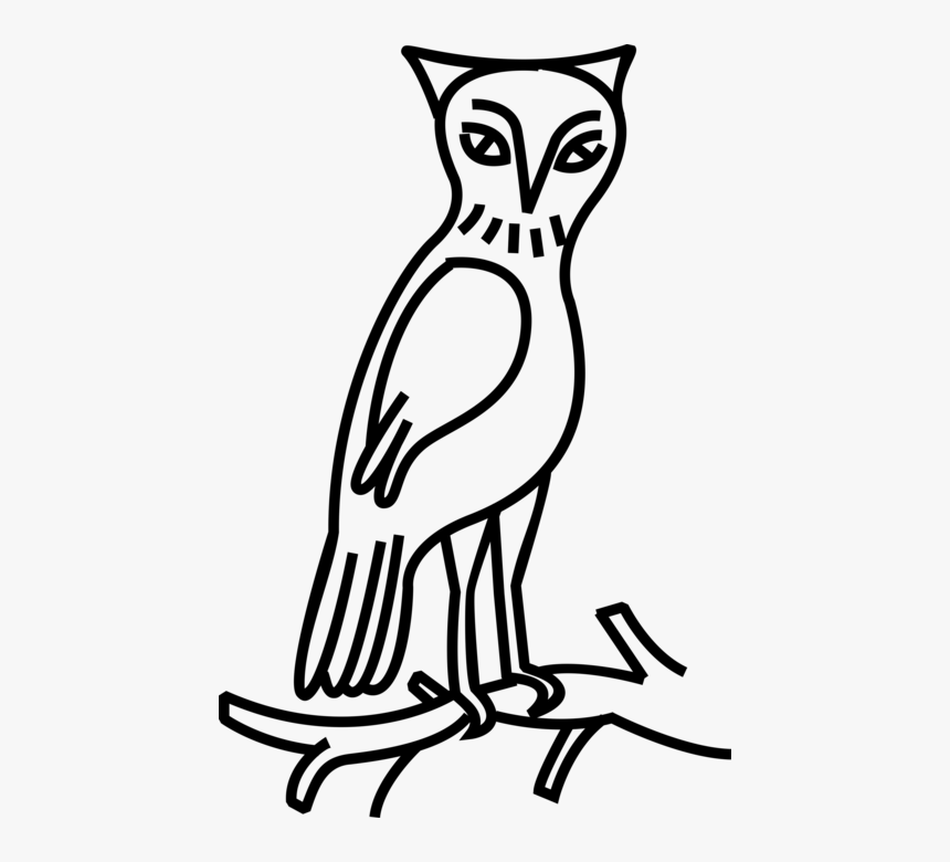 Vector Illustration Of Owl Nocturnal Bird Of Prey Stands - Eastern Screech Owl, HD Png Download