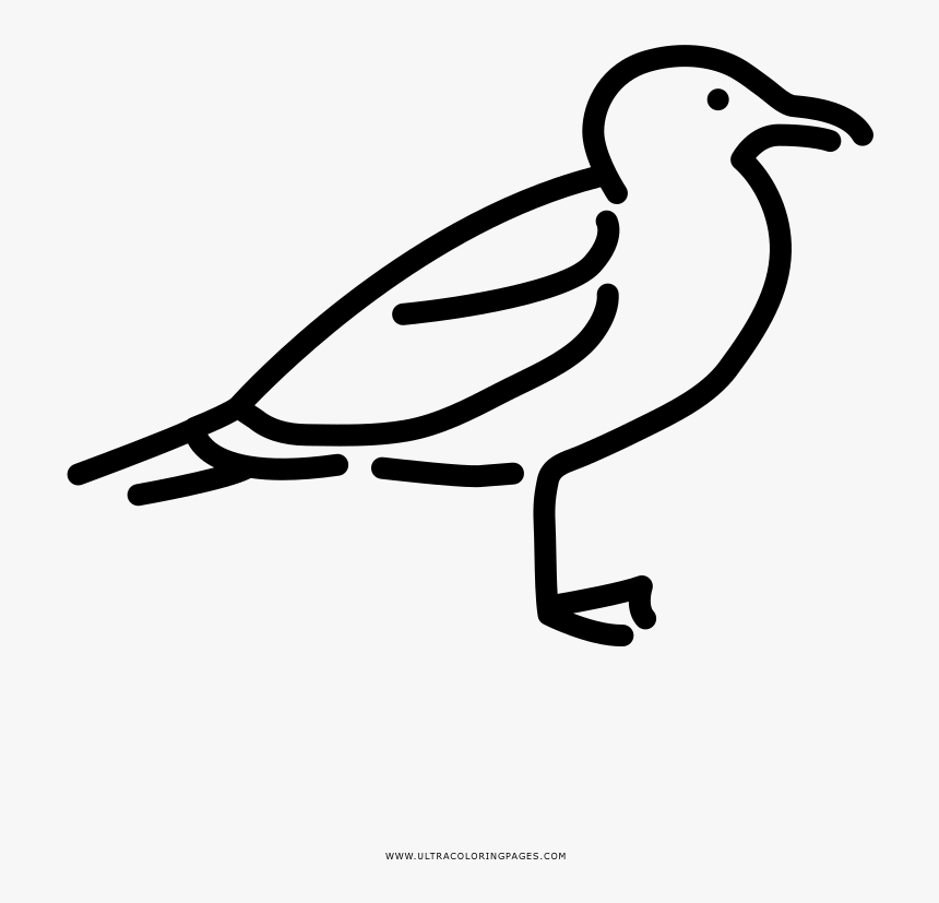 Transparent Gaviota Png - Illustration, Png Download