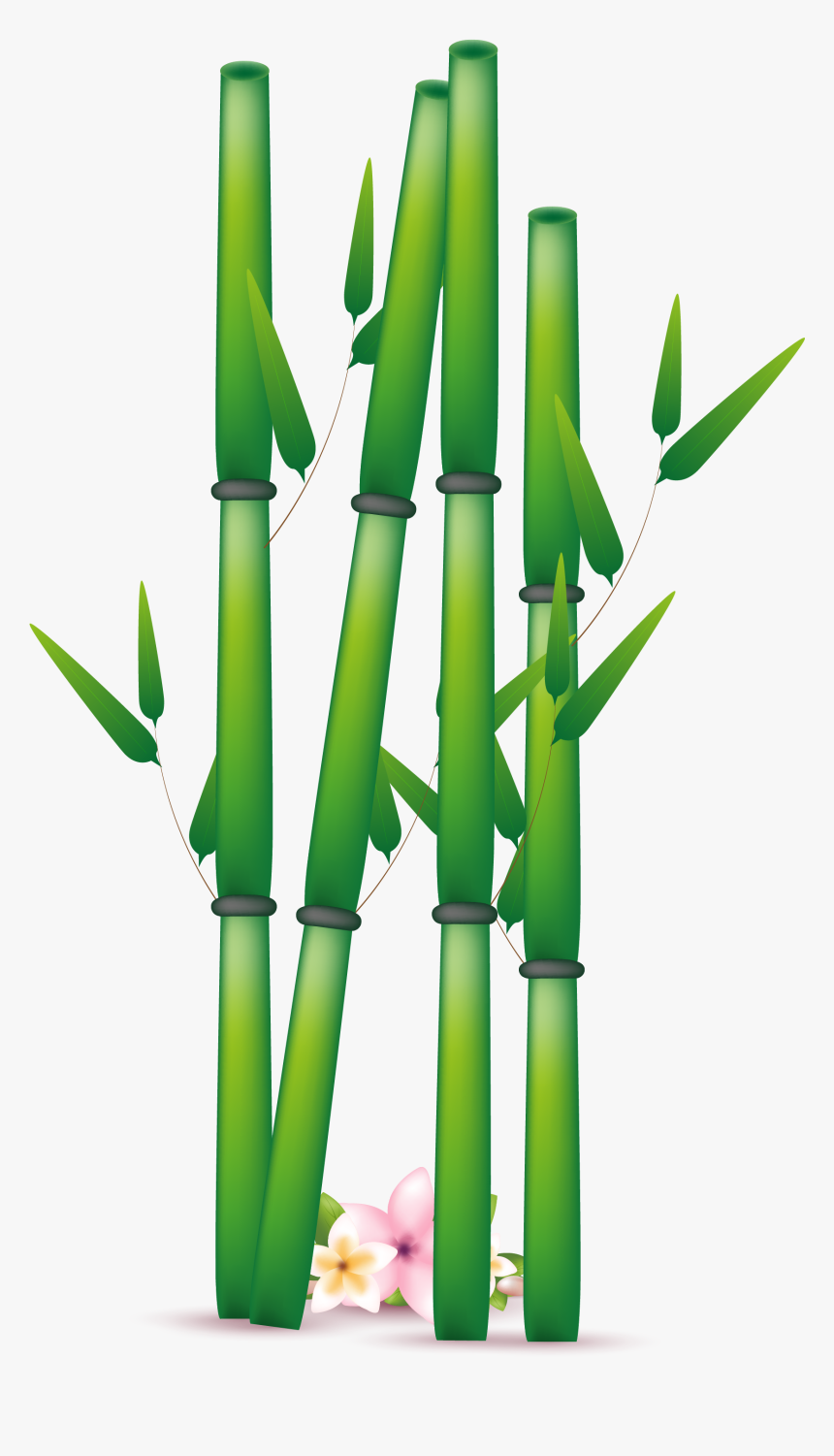 Png Transparent Free Images Bamboo Leaf Bamboo Free Clipart Png Download Transparent Png Image Pngitem