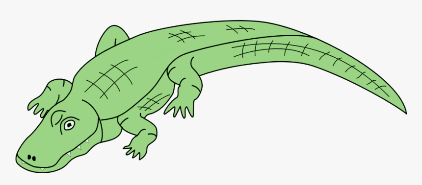 Alligator Image Free - Alligator Clip Art Transparent Background, HD Png Download