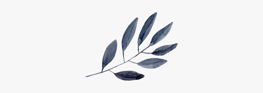 #watercolor #leaves #plants #nature #paint #freetoedit - Leaf Watercolor Plants Png, Transparent Png