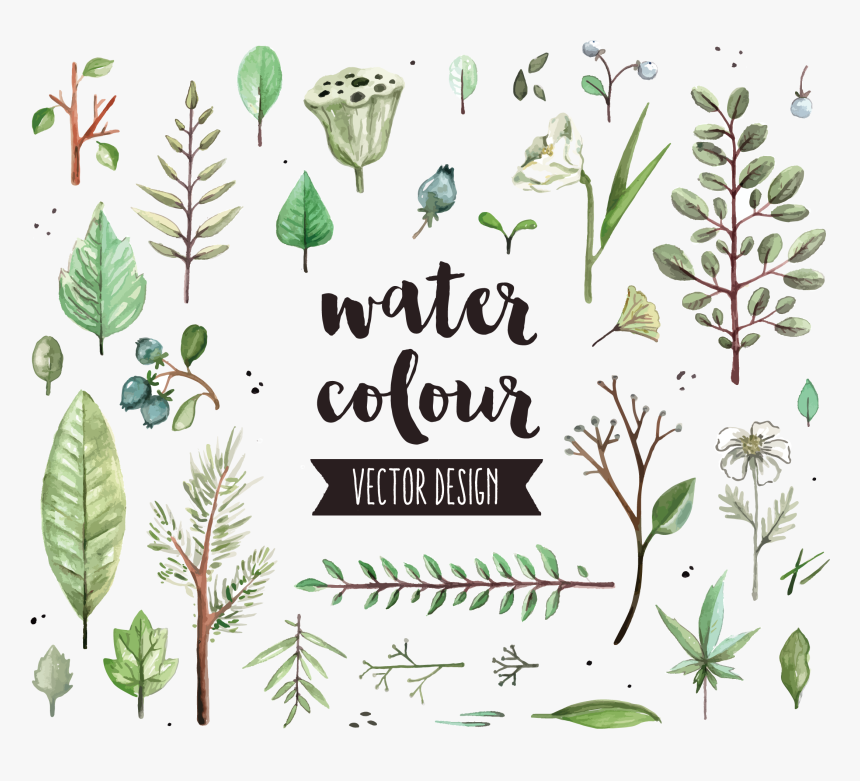 Watercolor Painting Icon Diagram - Watercolor Herbs Vector Free, HD Png Download