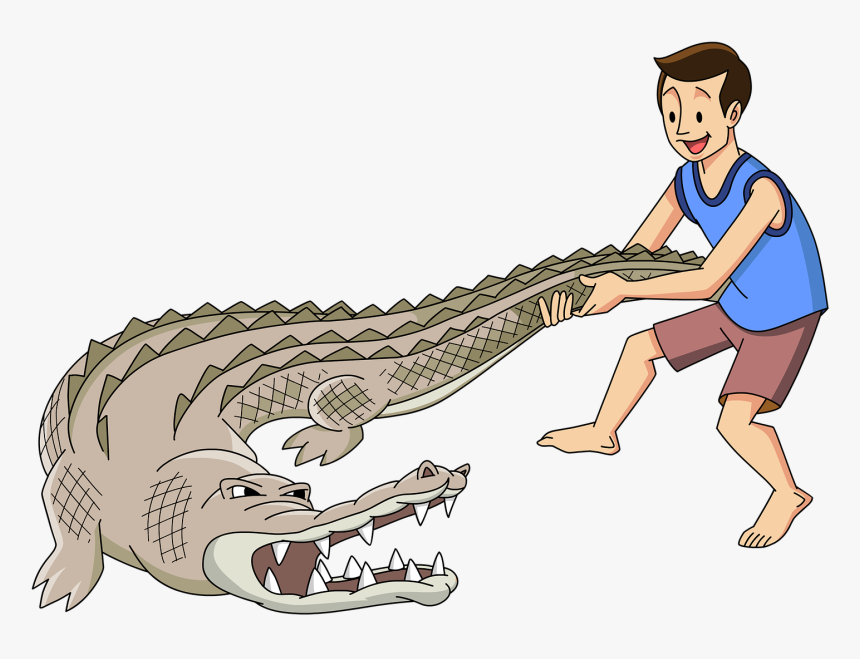 Transparent Cartoon Alligator Png - Alligators, Png Download
