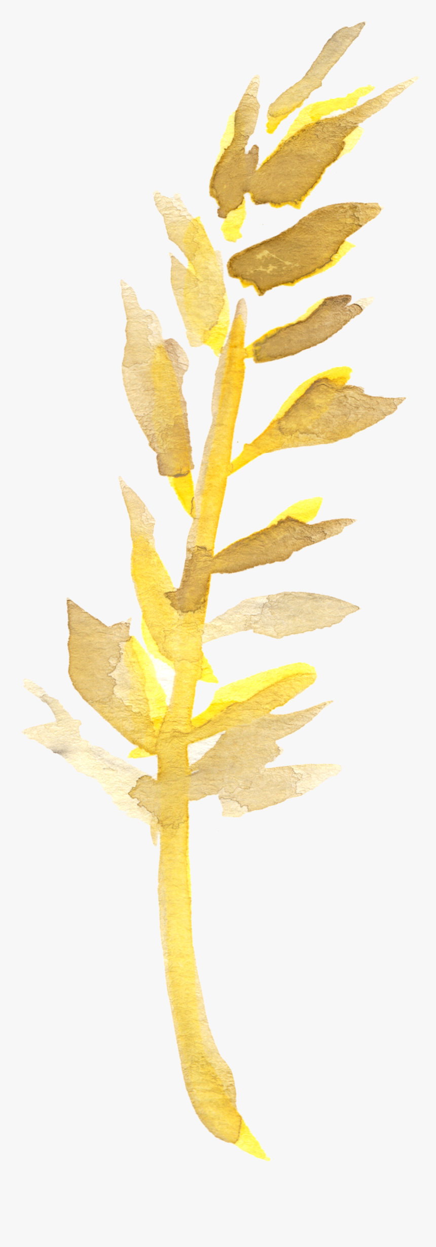 Free Fall Watercolor Floral Clip Art- So Pretty - Tree, HD Png Download