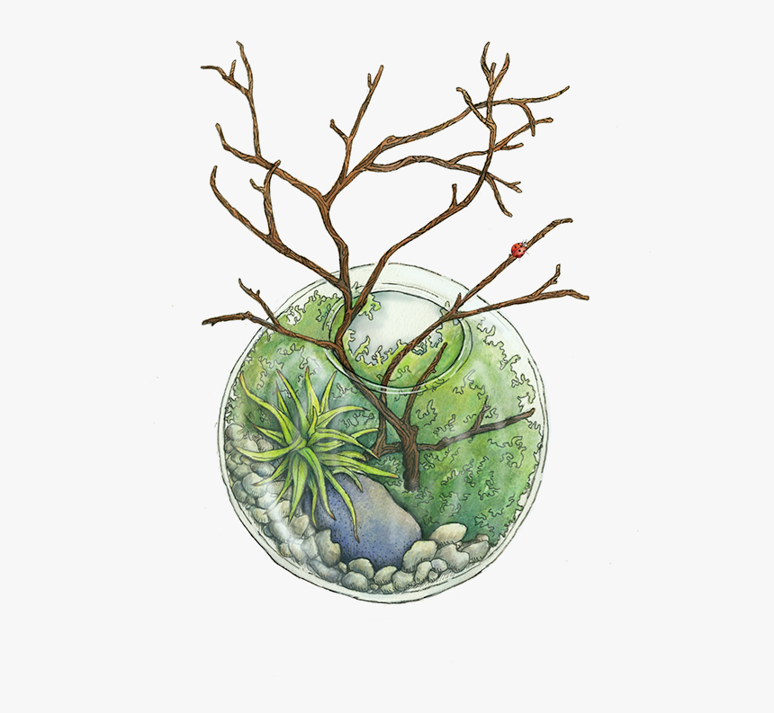 Terrarium Watercolor, HD Png Download
