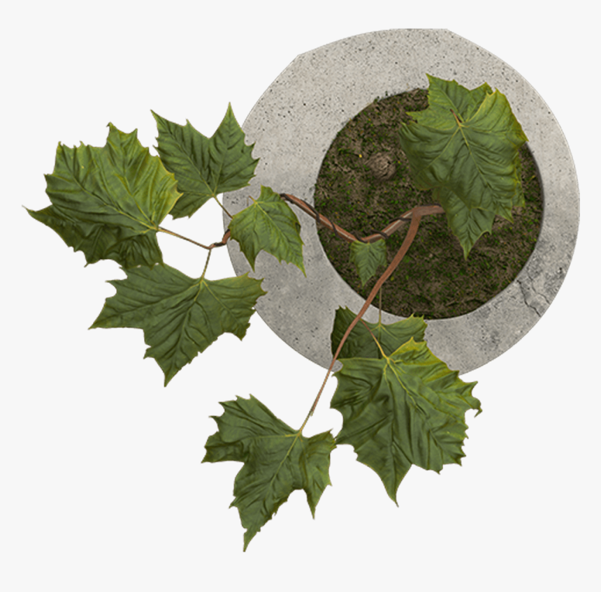 Contoh Portfolio Graphic Designer, HD Png Download