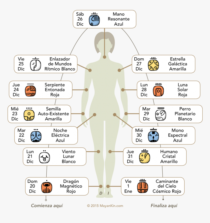 Wolf In Mayan Language, HD Png Download