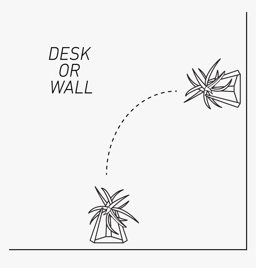 Transparent Desk Plant Png - Illustration, Png Download